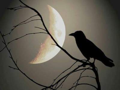 La passion du&nbsp;temps