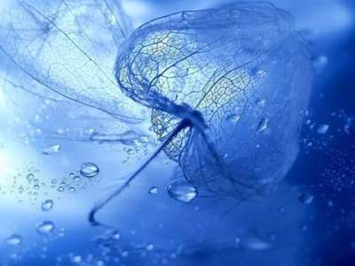 Le voile de la&nbsp;mariée