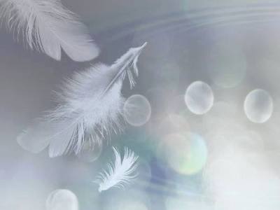 L&rsquo;ADN du Temps